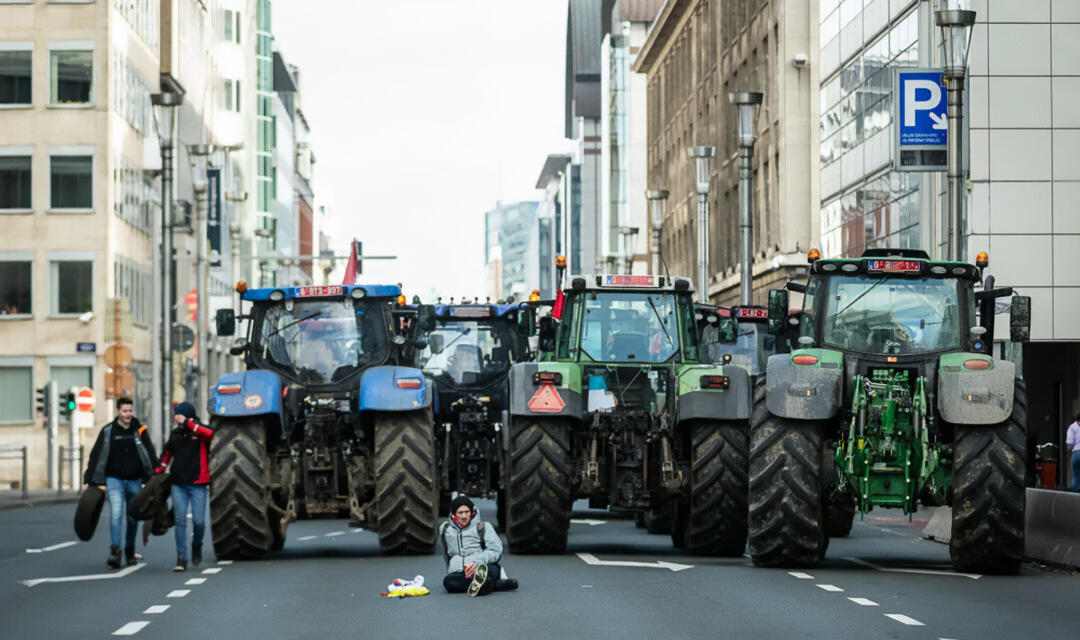IDEI, AFACERI ŞI PROFIT ÎN AGRICULTURĂ