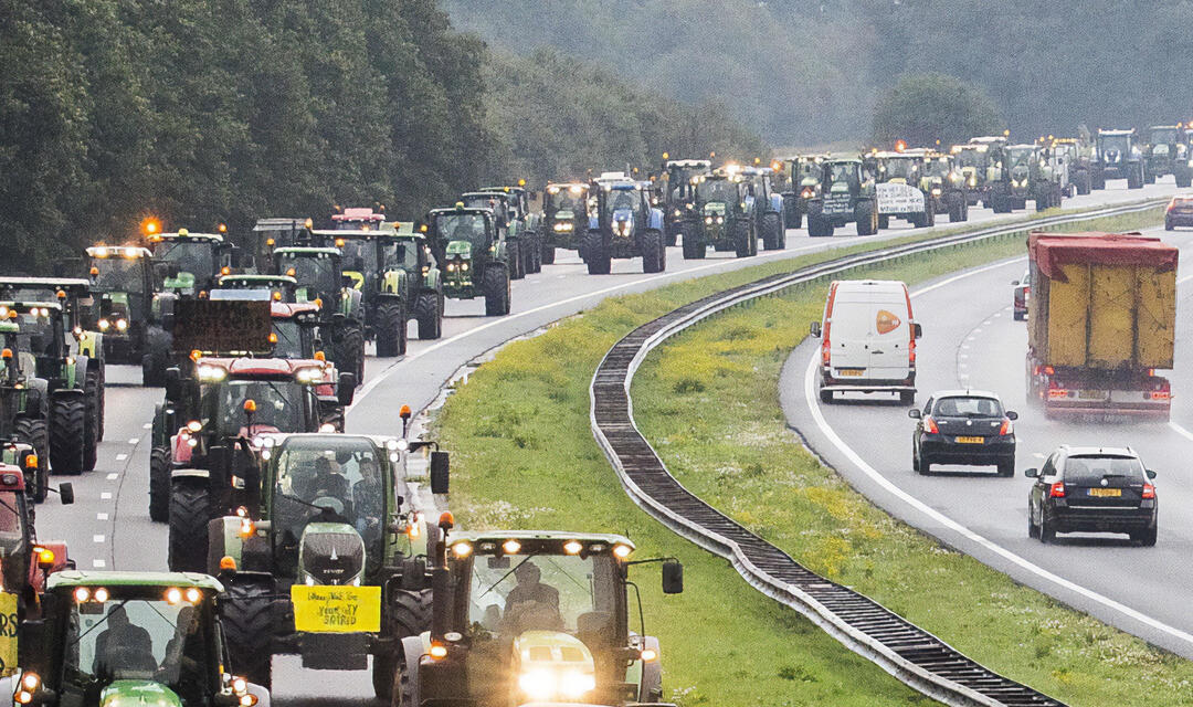 IDEI, AFACERI ŞI PROFIT ÎN AGRICULTURĂ – Partea a II-a