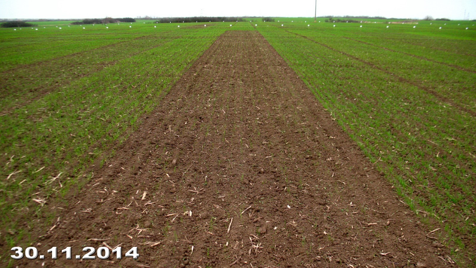 field