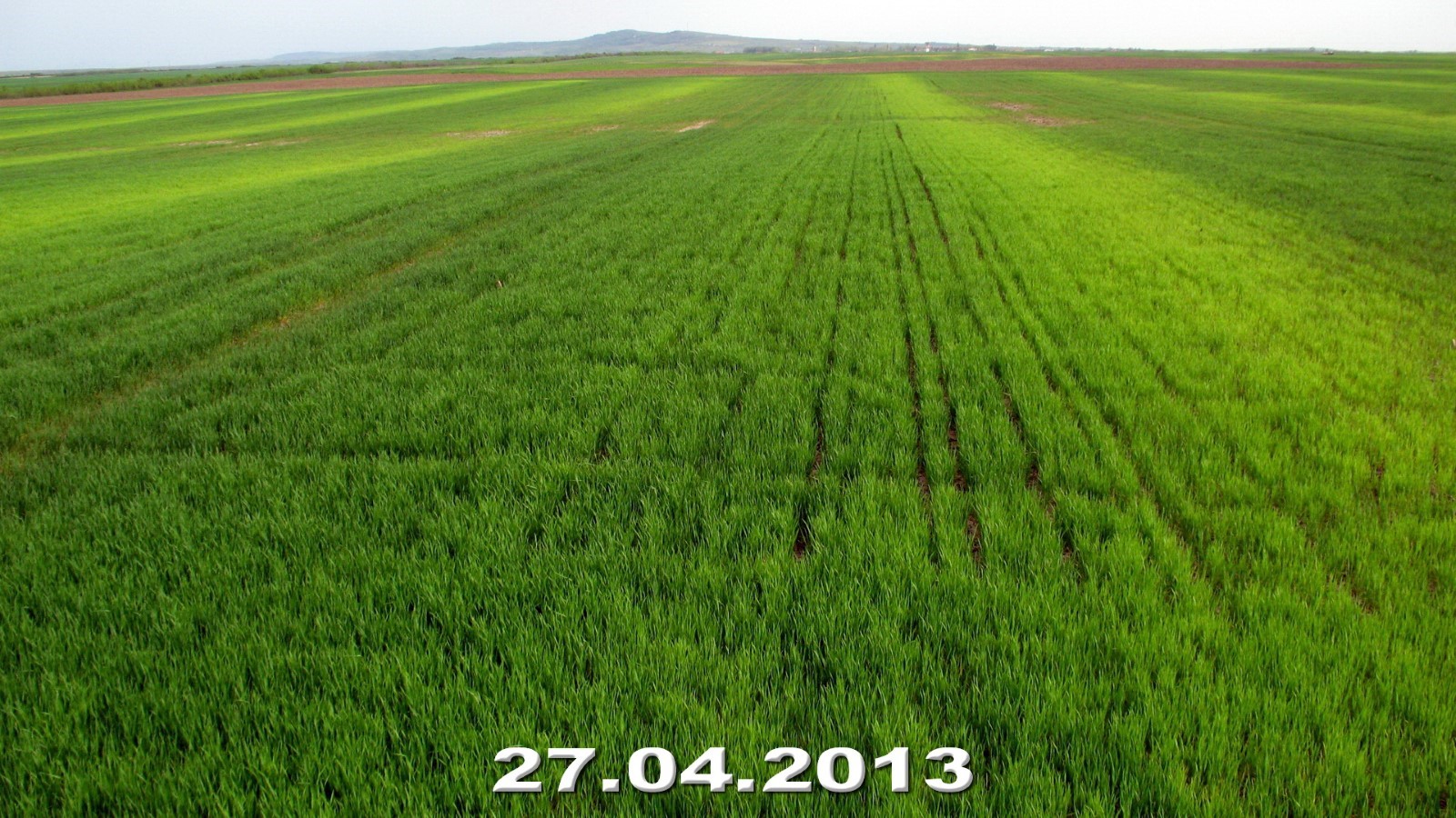 27.04-Hitiaş
