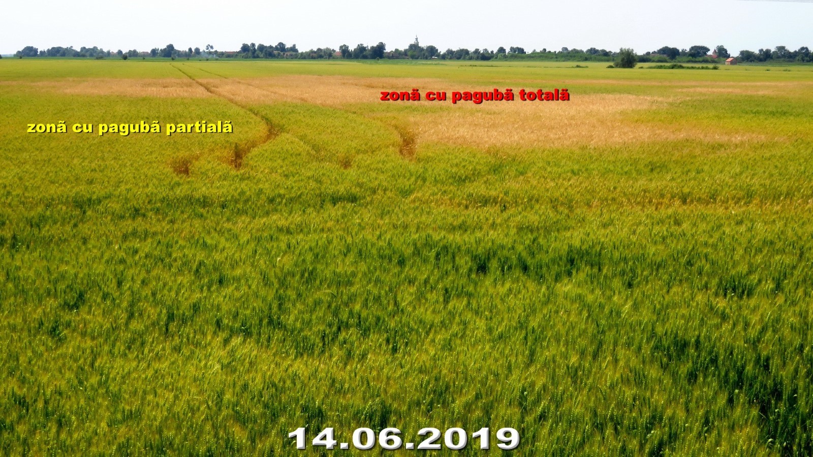 grau-paguba-totala