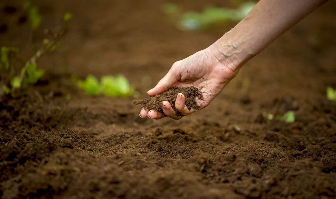 AGRICULTURA ŞI FALSELE MODERNISME – SOLUL (partea V)