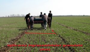 Foto 3 Aplicarea îngrăşămintelor cu azot– Experiență Agricolă