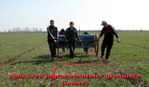 Foto 4. Azotat de amoniu, nitrocalcar, uree, sulfammo – Experiență Agricolă