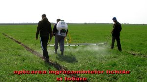 Foto 5. Aplicare îngrăşăminte lichide şi foliare – Experiență Agricolă