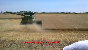 Foto 6. Recoltarea experienţei
