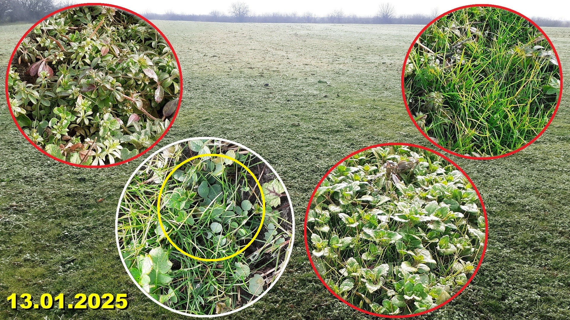 Foto 6 – „Lucernieră” anul 1 - Obiceiuri agricole