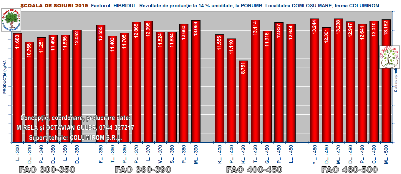 Grafic 1 – PORUMB - irigatia