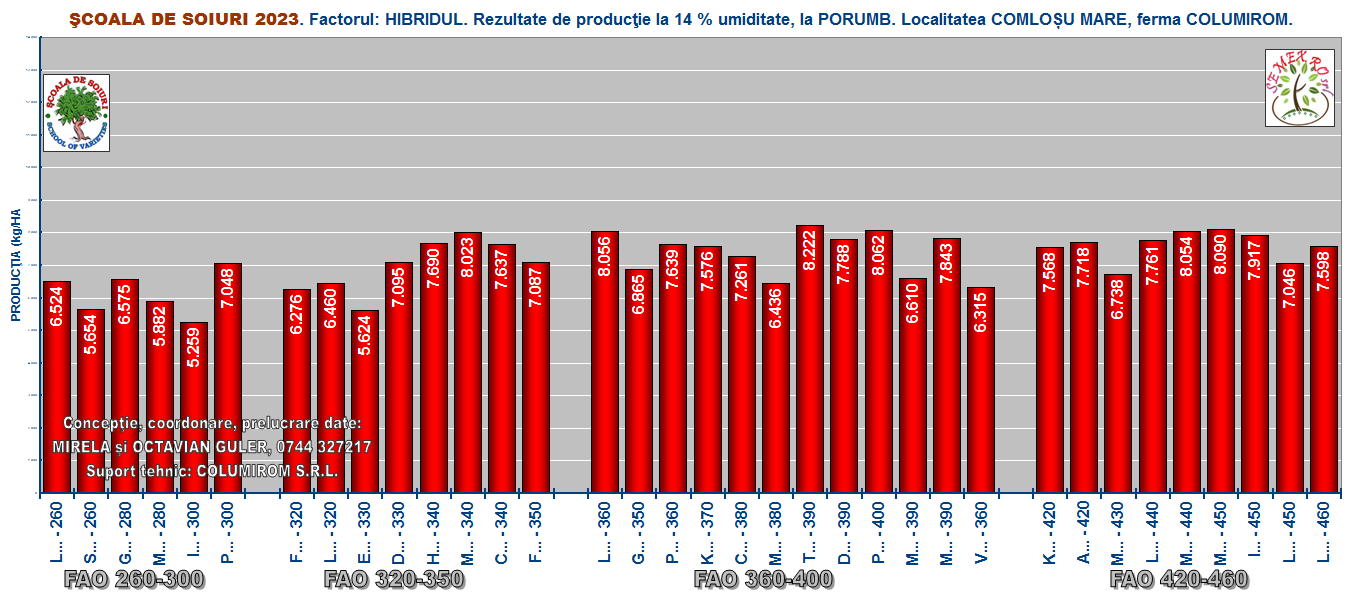 Grafic 2 – PORUMB – rezultate de producţie din anul 2023 - irigatia