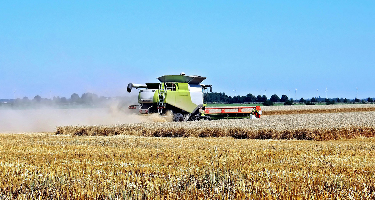 Riscuri FERMA AGRICOLA